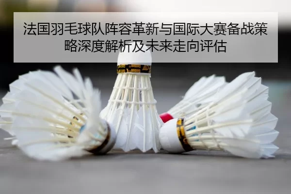 法国羽毛球队阵容革新与国际大赛备战策略深度解析及未来走向评估