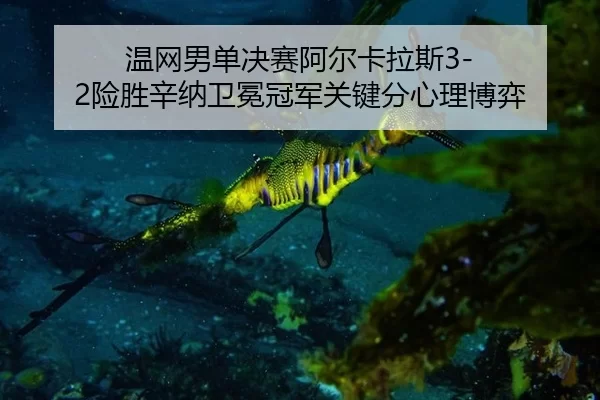 wen-wang-nan-dan-jue-sai-a-er-ka-la-si-xian-sheng-xin-na-wei-mian-guan-jun-guan-jian-fen-xin-li-bo-yi-3-516.jpg